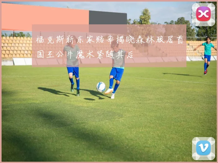 福克斯新东家赔率揭晓森林狼居首国王公牛魔术紧随其后